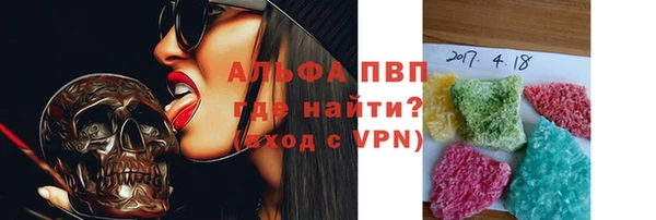 индика Протвино