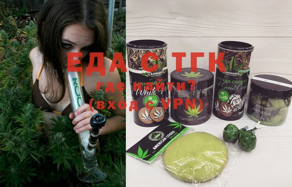 индика Протвино