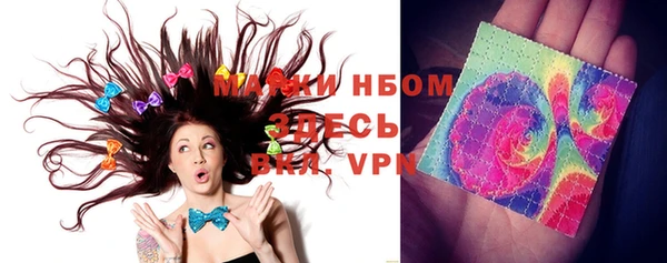 индика Протвино