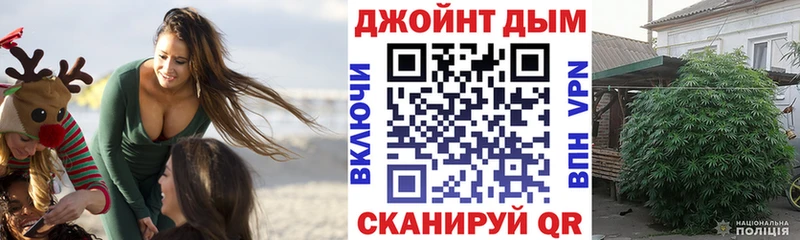 Бошки Шишки марихуана  Купить закладки  Чайковский 